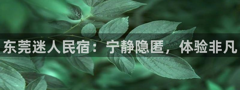 球盟会官方登录平台入口|东莞迷人民宿：宁静隐匿，体验非凡